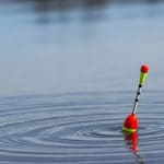 Поплавки на Алиэкспресс : 10 лучших вариантов для рыбалки